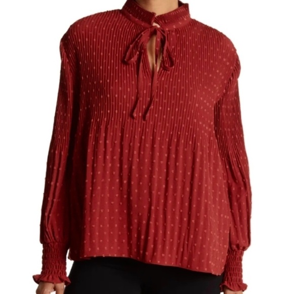 Max Studio Tops - NWT Max Studio Accordion Pleat Bishop Sleeve Swiss Dot Blouse Terracotta Red M